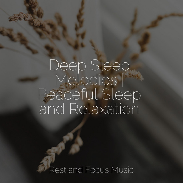 Deep Sleep Melodies | Peaceful Sleep and Relaxation - Album by Tinnitus ...