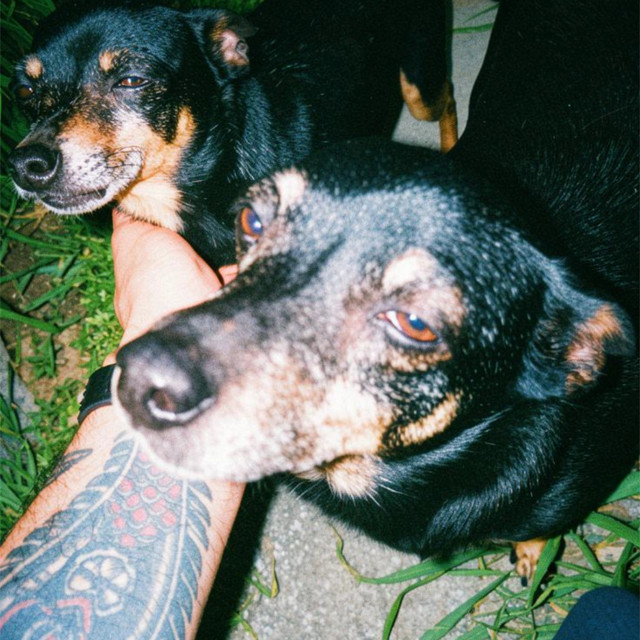 K9 - Extended Mix album art