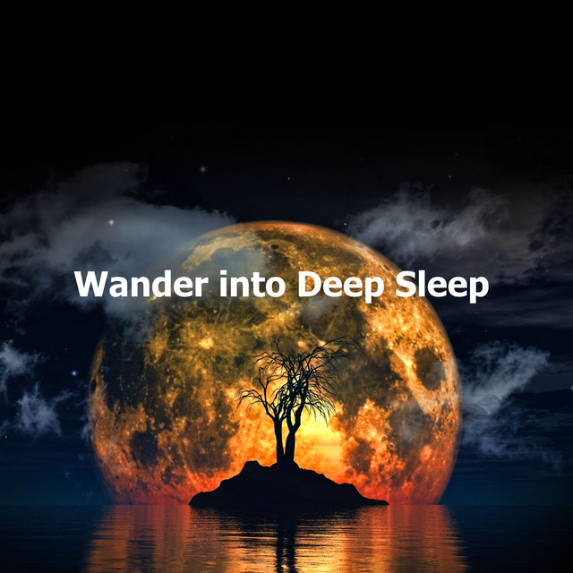 Wander into Deep Sleep cover art
