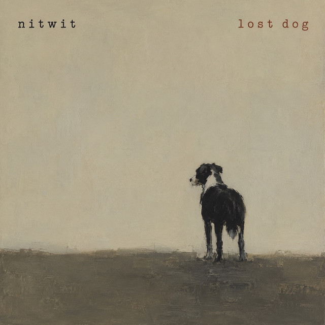 Nitwit