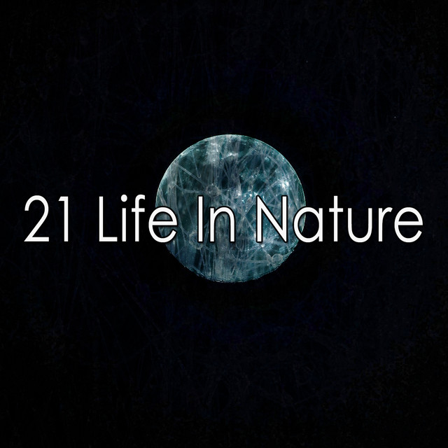 21 Life In Nature - Album by Nature Sounds Artists | Spotify