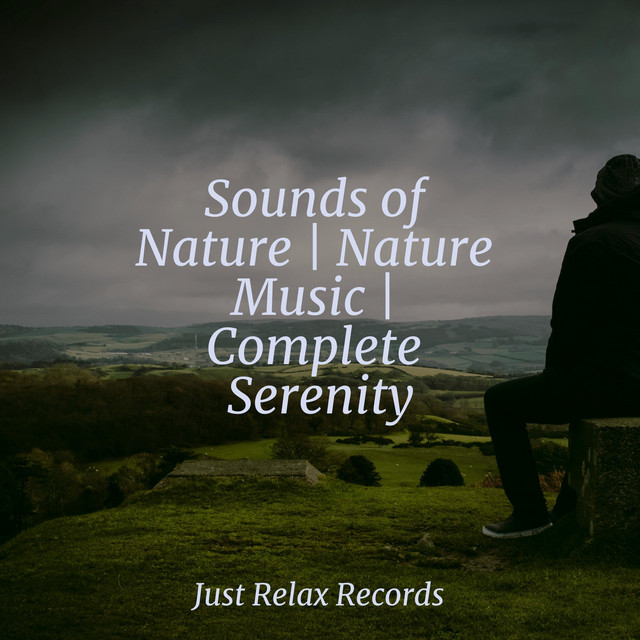 Solar Serenity Soars - song and lyrics by Instrumental, Yoga Sounds ...