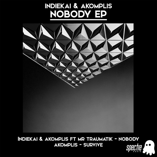 Nobody cover art