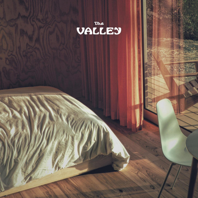 The Valley cover art