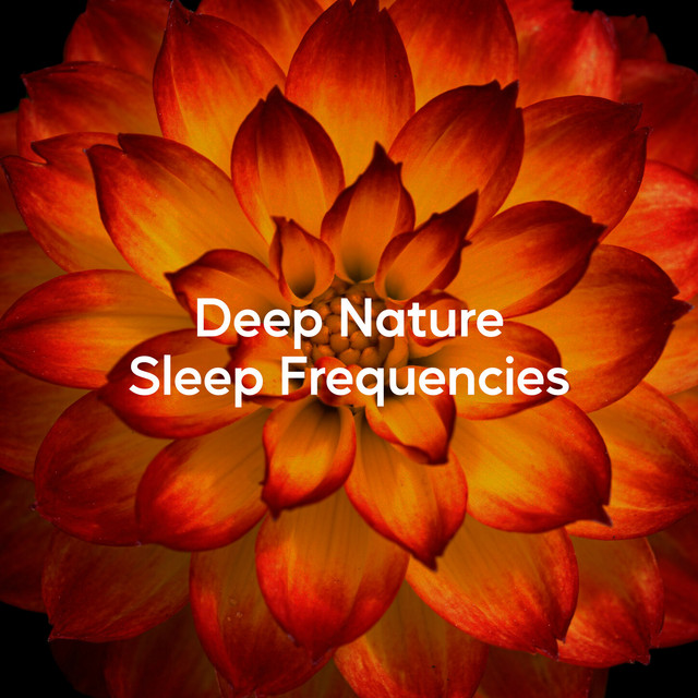 Deep Nature Sleep Frequencies (Relaxing Sofeggio)