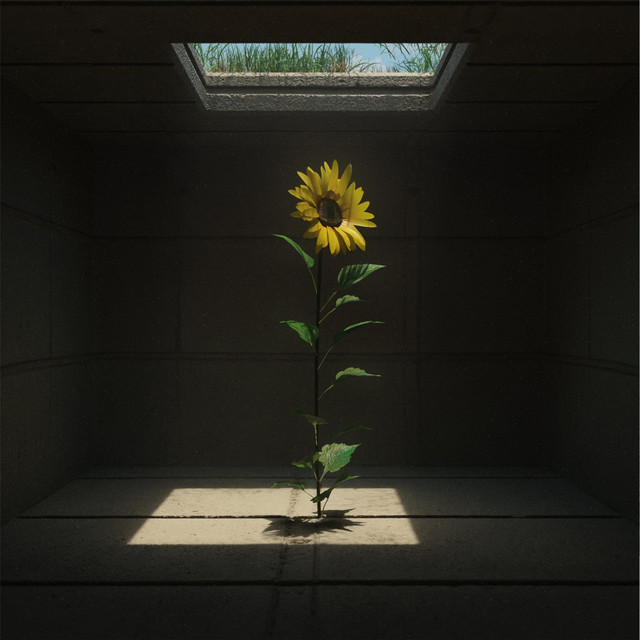 Bloom cover art