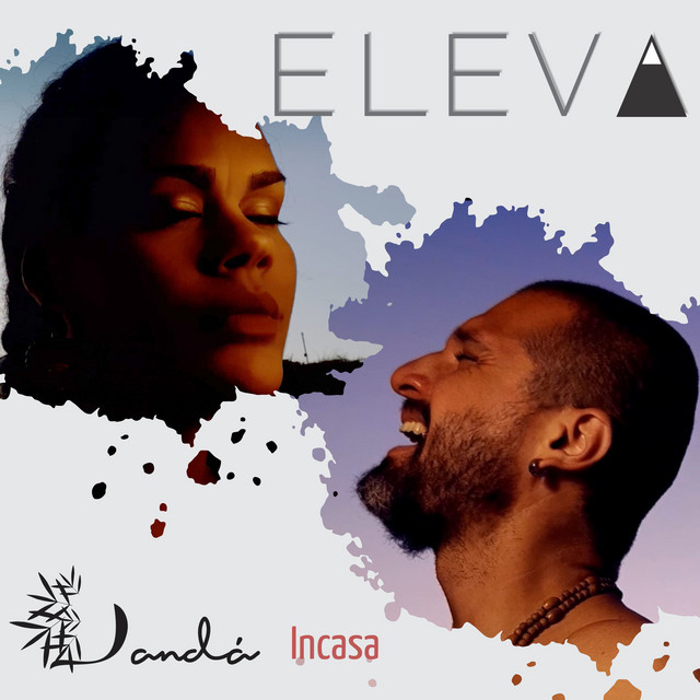 Eleva cover art