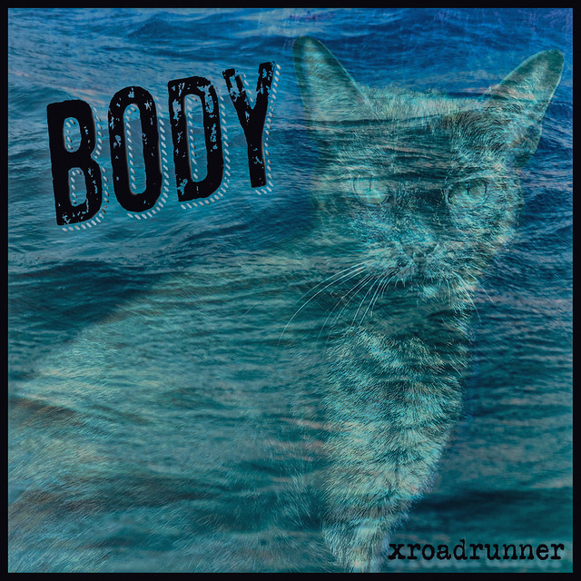 Body cover art