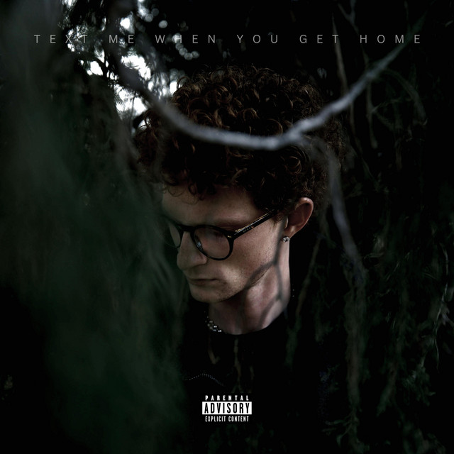TEXT ME WHEN YOU GET HOME cover art