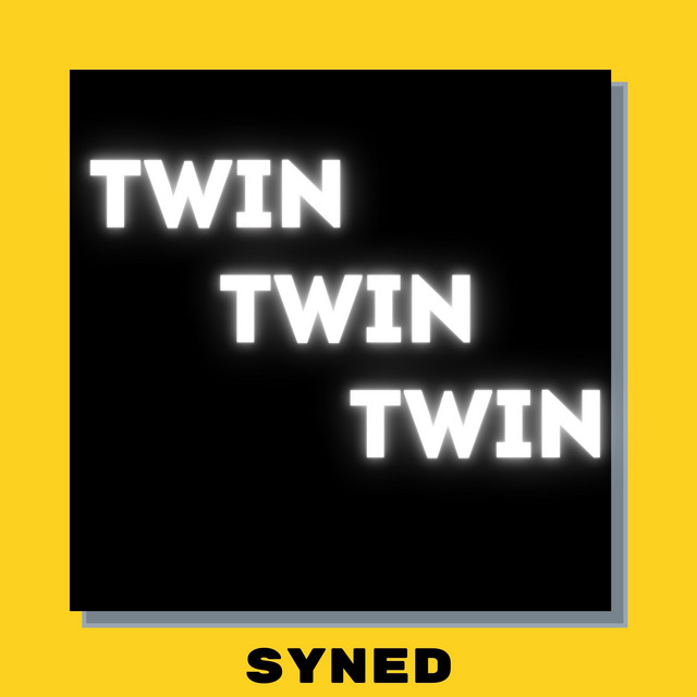 Обкладинка: Twin — syned