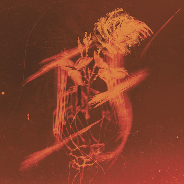 IF cover art
