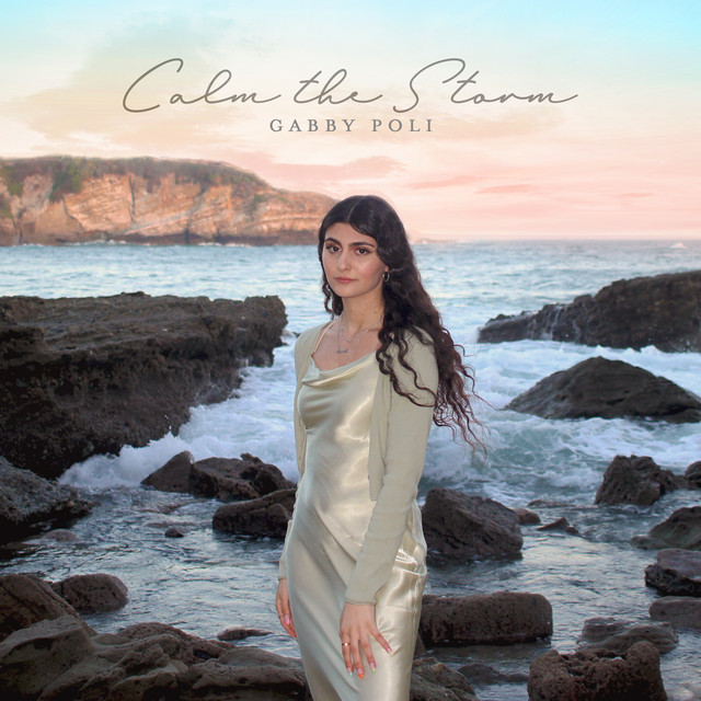 Calm the Storm cover art