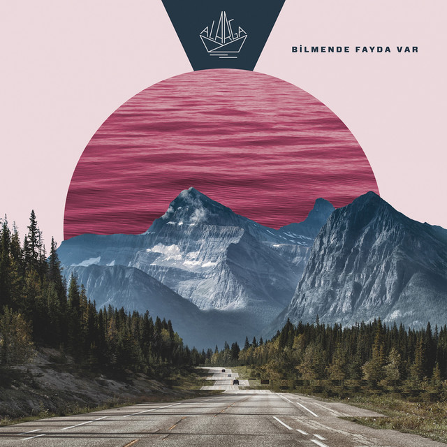 Bilmende Fayda Var cover art