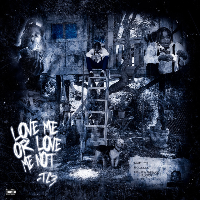 Love Me Or Love Me Not cover art