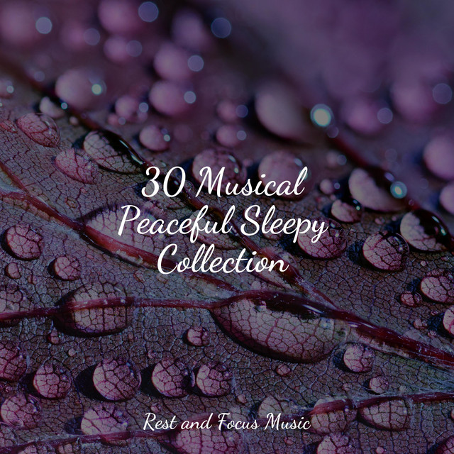30 Musical Peaceful Sleepy Collection - Album by Sleep Sounds of Nature ...