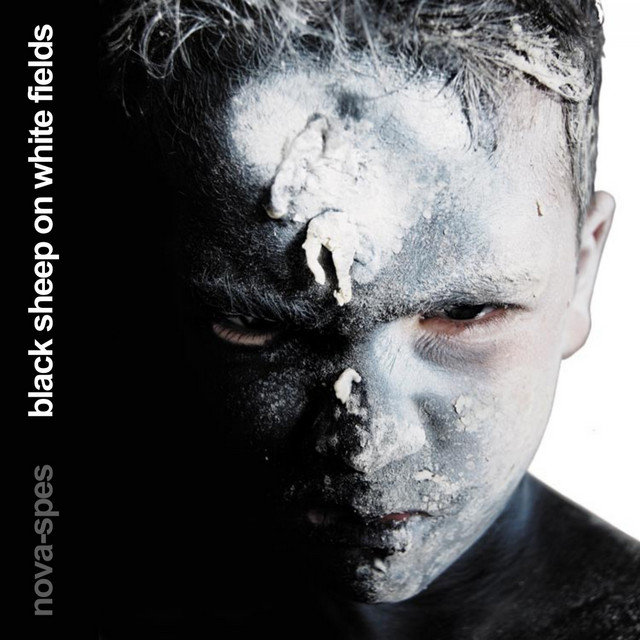 Black Sheep On White Fields cover