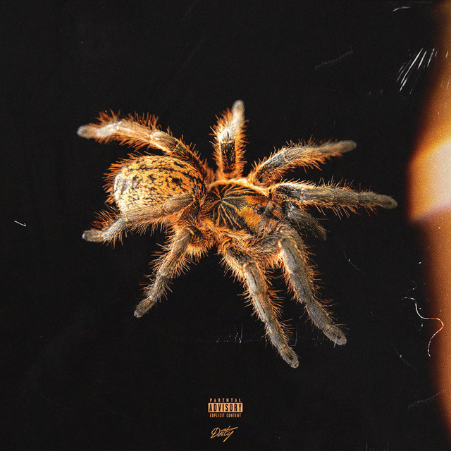 Tarantula - Single by Yavuz Yalmancı | Spotify