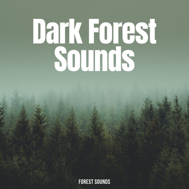 Dark Forest Sounds - Album by Forest Sounds | Spotify