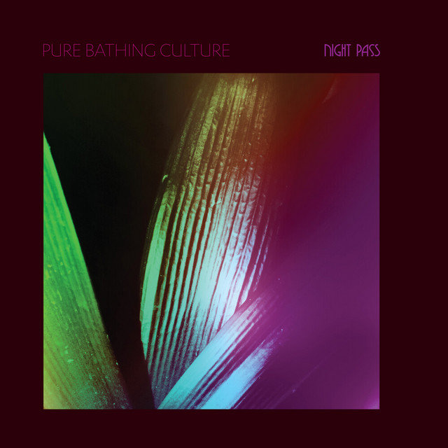 Night Pass cover art