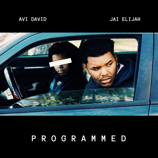 Programmed - Single by Avi David | Spotify