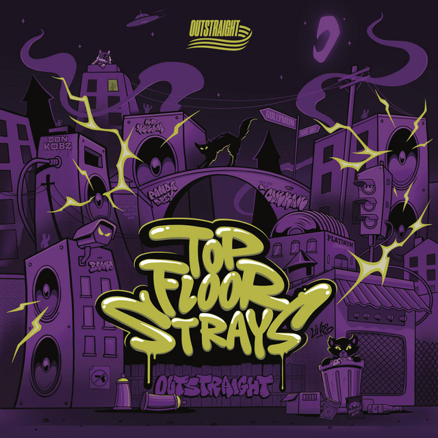 TOP FLOOR STRAYS cover art