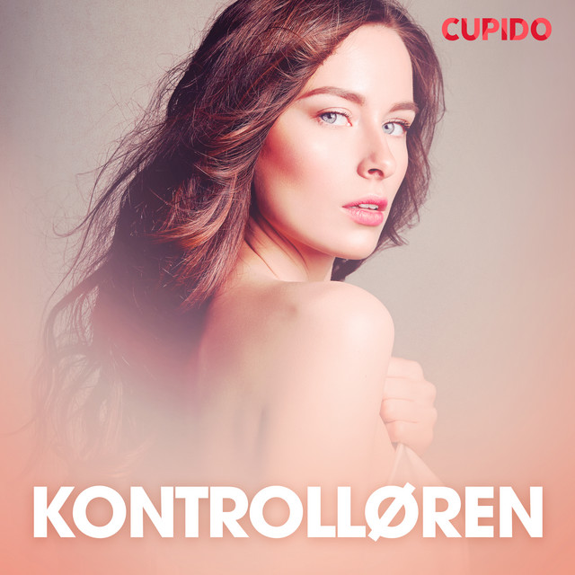 Kontrolløren – erotiske noveller cover art