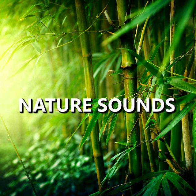 Nature Sounds cover art