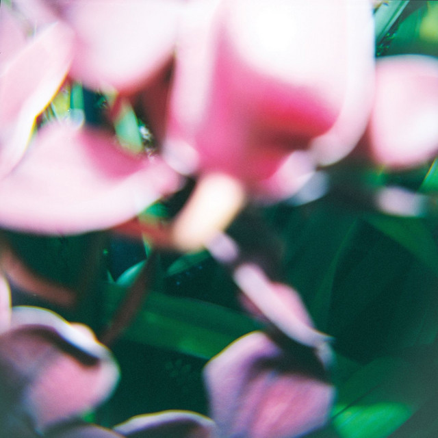 You Make Everything Disappear cover art