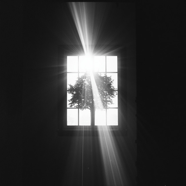 Waking Up