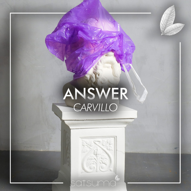 Answer cover art