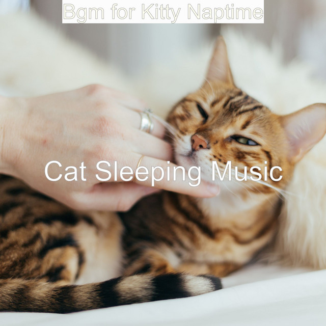 Bgm for Kitty Naptime cover art