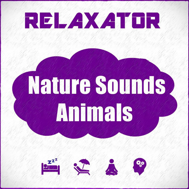Nature Sounds Animals cover art