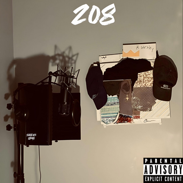 208 cover art