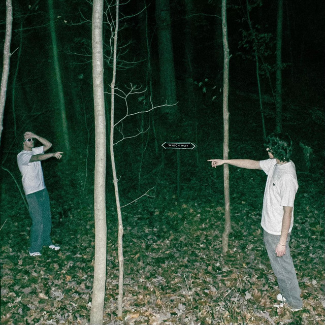 WHICH WAY cover art