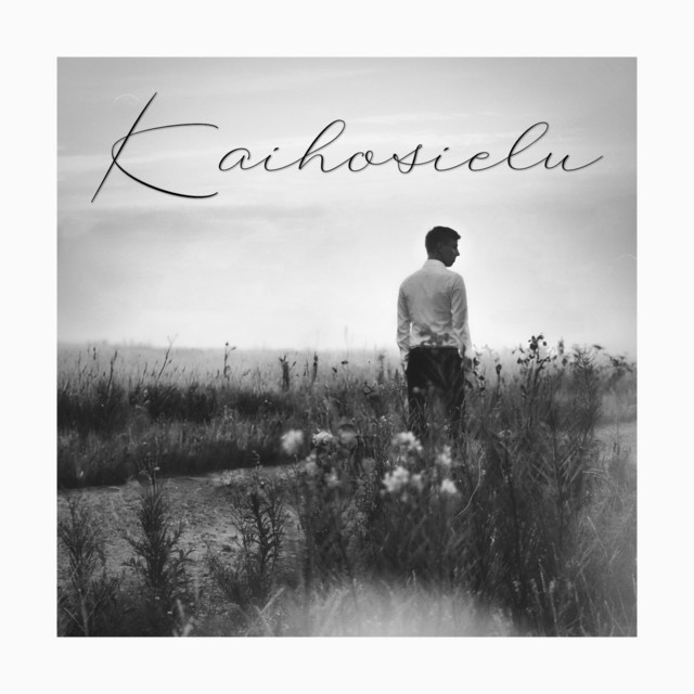 Kaihosielu cover art