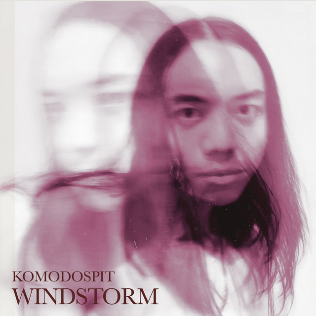 Windstorm cover art