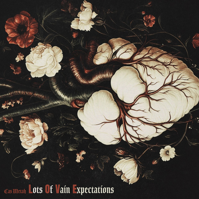 Lots Of Vain Expectations