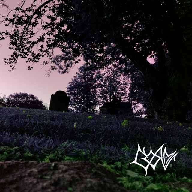 Unmedicated II: Untreated Depression cover art