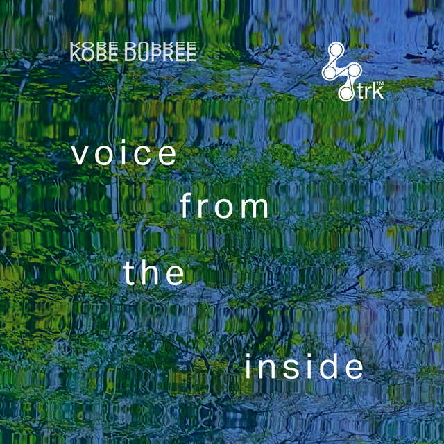 Voice from the Inside cover art