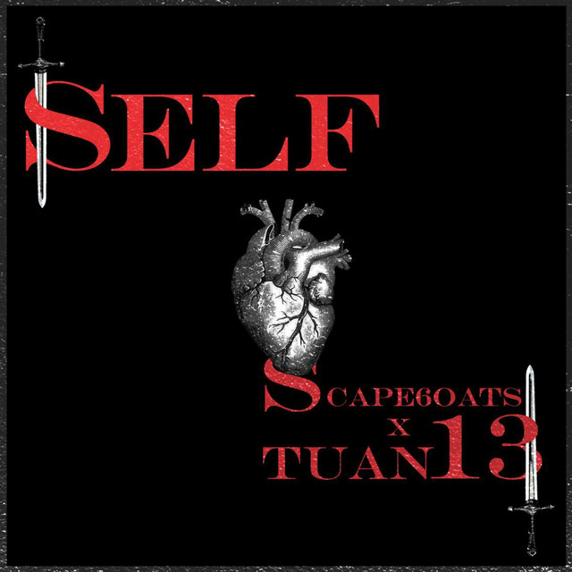 Self cover art