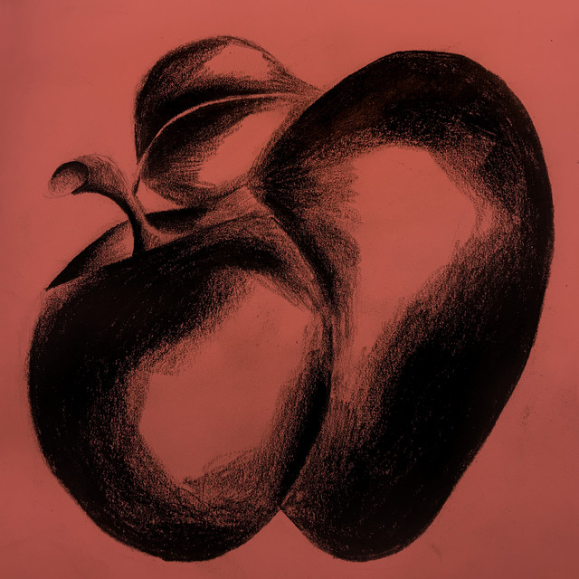 Plum cover art