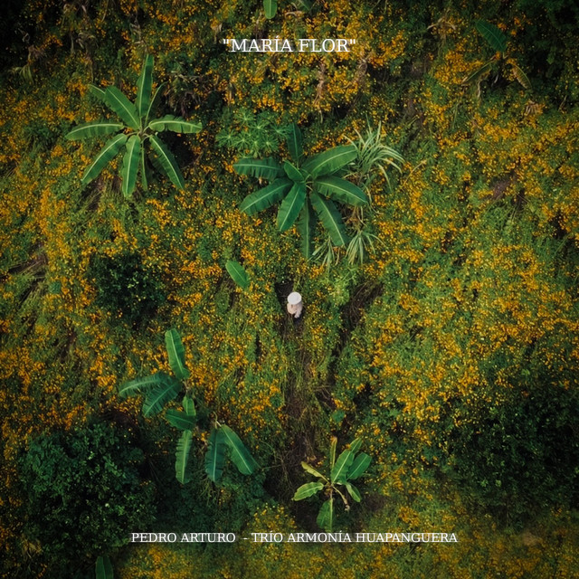 MARÍA FLOR cover art