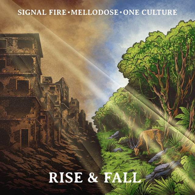 Rise & Fall