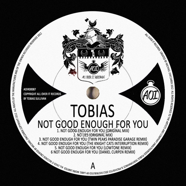 Not Good Enough For You - Original Mix cover art