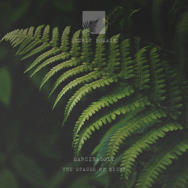 The Stage of Night cover art