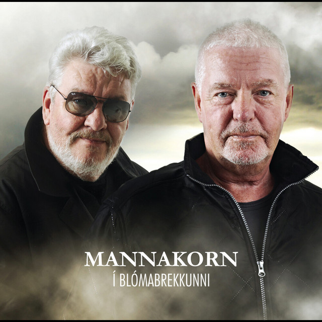 Í blómabrekkunni cover art