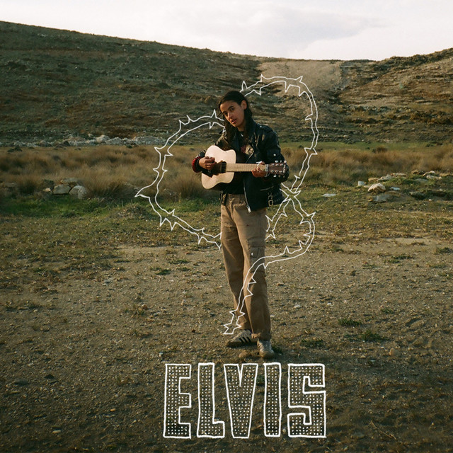 Elvis cover art