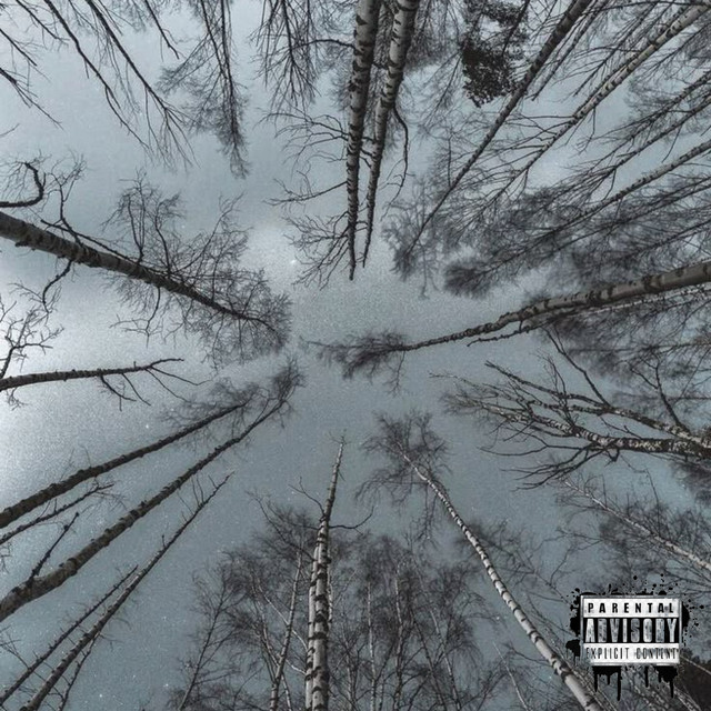 Cover art: Ніколи не будемо щасливі — nevid