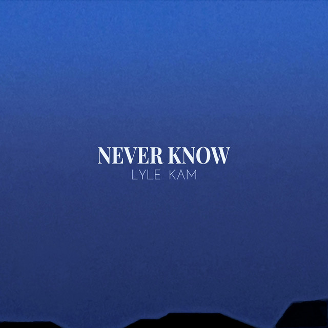 Never Know cover art