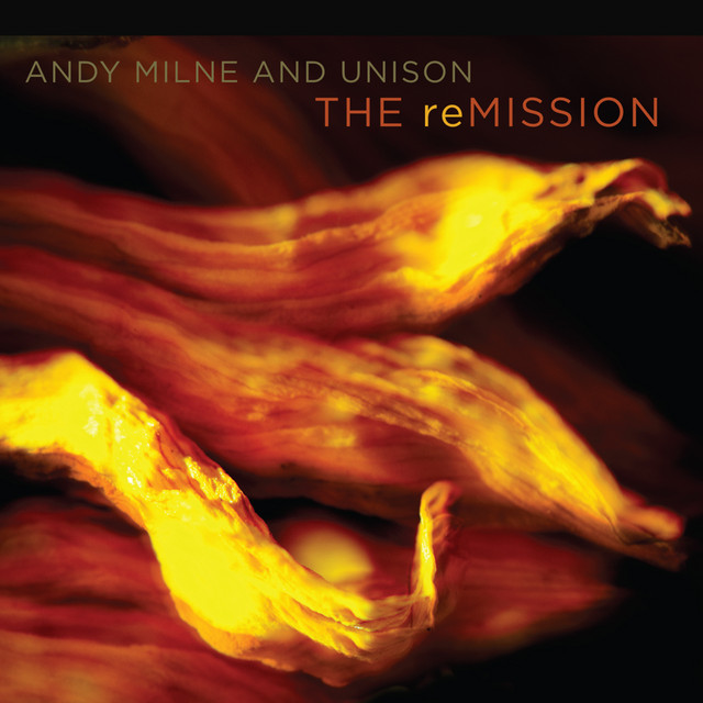 The reMISSION cover art